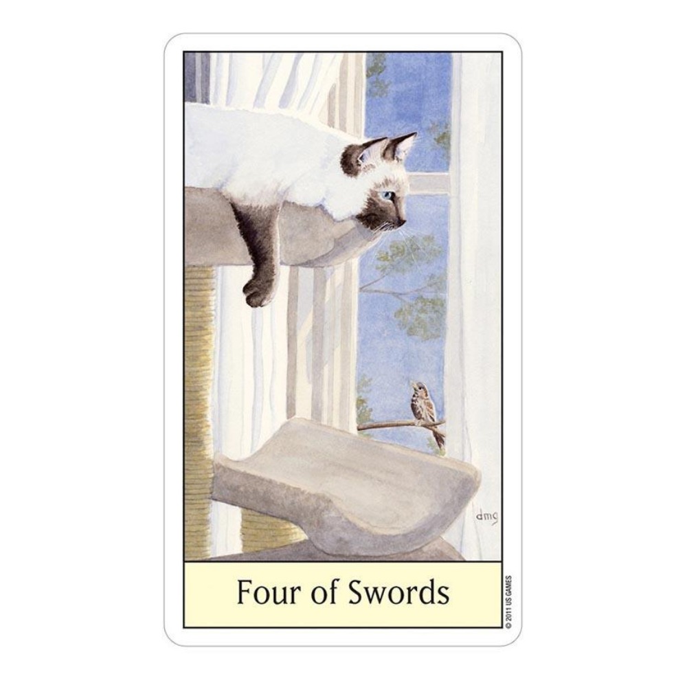 Tarot Deck With Guidebook - ไพ่แมวตา12x7ซม