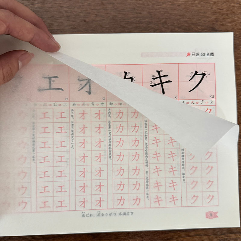 Chinese Calligraphy Practice Book - สมุดคัดลายมือฮิราแกนะ คาตาคานะ ภาษาญี่ปุ่นสำหรับผู้เริ่มต้น 0 ขั้นต่ำ สมุดฝึกเขียนภาษาญี่ปุ่นมาตรฐานสำหรับผู้เริ่มต้น