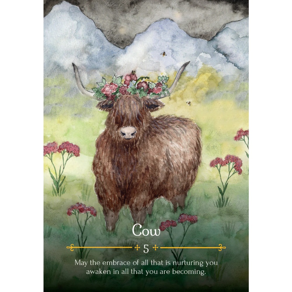 การ์ดออราเคิลแม่มดขนาด11*6.5ซม - Tarot Deck With Guidebook บทวิจารณ์และราคา